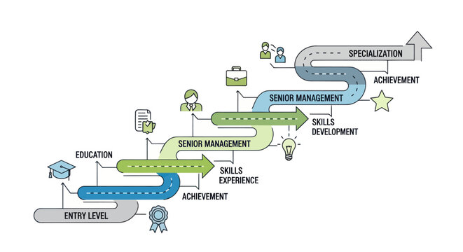 Career Path Infographic: From Entry Level to Senior Management and Specialization