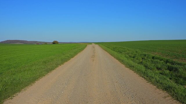 Langer, gerader Feldweg zwischen gr&uuml;nen Feldern unter einem weitl&auml;ufigen blauen Himmel, Ergersheim, Landkreis Neustadt an der Aisch-Bad Windsheim, Mittelfranken, Bayern, Deutschland