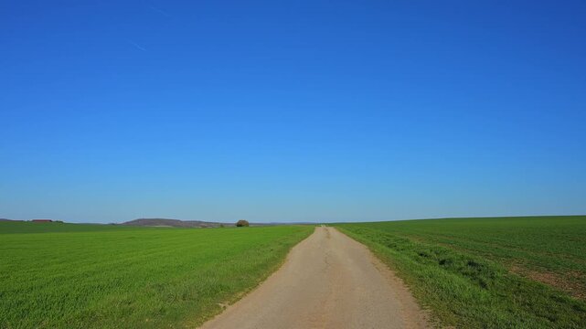 Langer, gerader Feldweg zwischen gr&uuml;nen Feldern unter einem weitl&auml;ufigen blauen Himmel, Ergersheim, Landkreis Neustadt an der Aisch-Bad Windsheim, Mittelfranken, Bayern, Deutschland