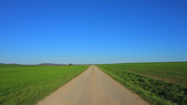 Langer, gerader Feldweg zwischen gr&uuml;nen Feldern unter einem weitl&auml;ufigen blauen Himmel, Ergersheim, Landkreis Neustadt an der Aisch-Bad Windsheim, Mittelfranken, Bayern, Deutschland