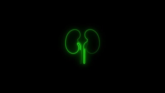 Green glowing human kidney icon minimalist medical symbol a outline of a organ isolated on a solid black background organ anatomy health biology science organ anatomy health biology science