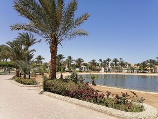 Fototapeta premium Scenic View of Palm Trees and Water Body in a Resort Area