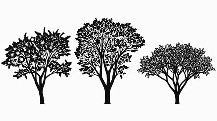 Fototapeta premium A detailed tree silhouette collection in black nature style, providing a versatile botanical set and leaf illustration for creative graphic design.
