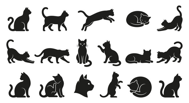 Black Cat Silhouettes Collection Vector Illustration On White Background
