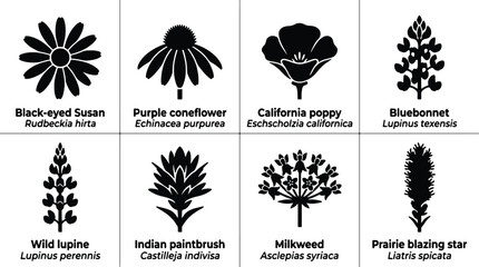 Wildflower Icons Set: Black-eyed Susan, Purple Coneflower, California Poppy, Bluebonnet, Wild Lupine, Indian Paintbrush, Milkweed, Prairie Blazing Star Vector Graphics © Shohidul