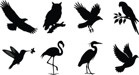 Collection of black bird silhouettes featuring eagle, owl, crow, parrot, hummingbird, flamingo, heron, and flying dove © Designer Arif