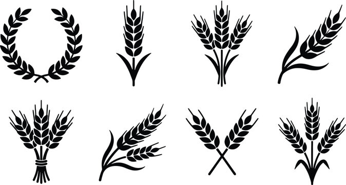Wheat Icons Set, Grain Stalks and Laurel Wreath Vector Graphics, Agricultural Symbols for Harvest and Organic Branding
