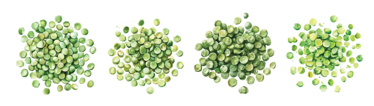 Watercolor design, Minimal yet artistic elements for creative designs. hand-drawn paint, Simple Illustration, A beautiful painting of split peas, EPS format, isolated on a white background