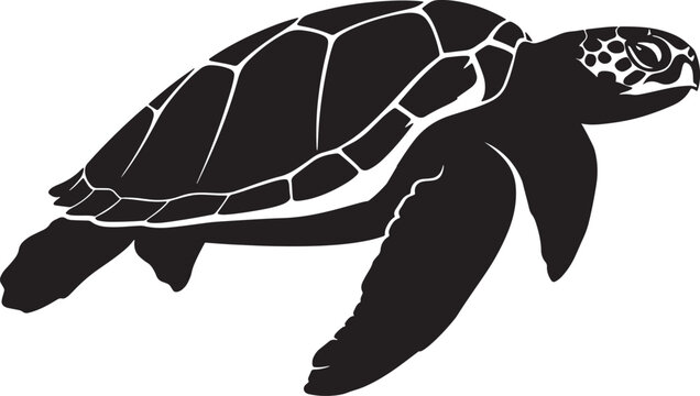 turtle swimming in water with shell and flippers extended