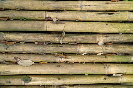 Closeup view of stacked bamboo poles showing natural texture and pattern background.