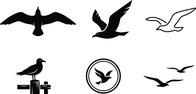 Seagull bird icon set flying seagull silhouette ocean beach marine wildlife logo vector illustration graphic collection
