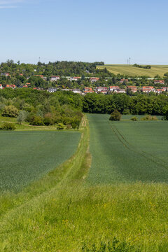 A panoramic view of the summer landscape outside Weimar, seen from a hill near Belvedere Palace, Thuringia.