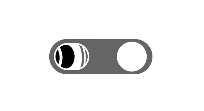 Gray toggle switch button icon.