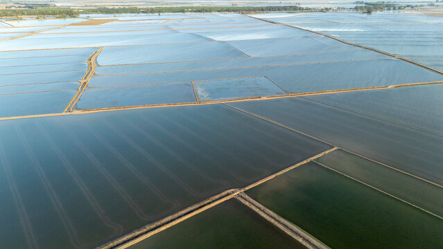 Agricultural rice paddies flooding in La Puebla del Rio, Spain