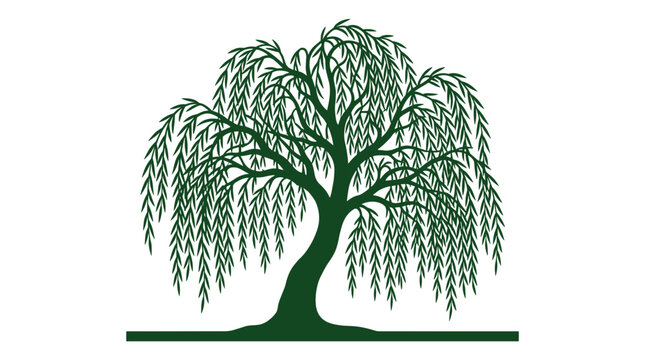 Stylized dark green silhouette of a weeping willow tree with cascading branches for nature themed designs
