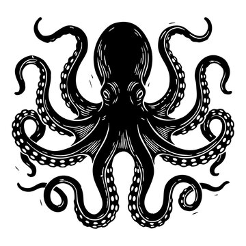 Detailed black ink illustration of an octopus in vintage style with creature tentacles illustration wildlife underwater detailed tentacle monochrome