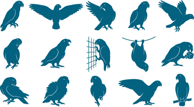 Bundle of parrot bird silhouettes showing different flight patterns and perching behaviors