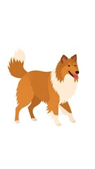 Obraz premium A cartoon-style illustration of a dog with a fluffy orange and white coat walking to the right