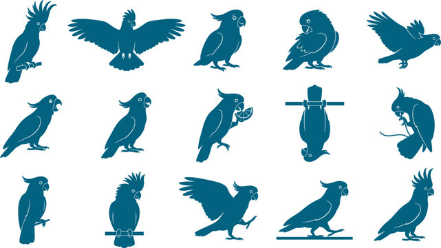 Set of cockatoo parrot silhouettes representing tropical birds in various natural and active poses