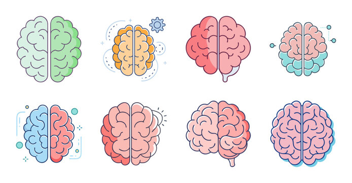 Colorful brain diagrams showing different regions - Illustrated brain diagrams highlighting various regions in distinct colors for medical or educational use.
