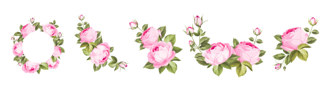 Vintage rose flowers set overwhite background. Wedding flowers bundle
