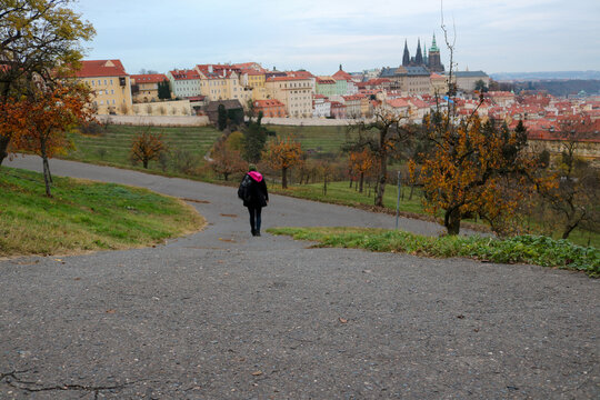 Autumn Walk with a View of Prague