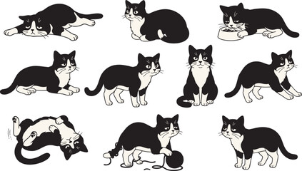 Cute Tuxedo Cat Character Poses Sheet Funny Black and White Kitten Expressions Sleeping Playing Eating Vector Set © Meyto Elements