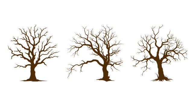 Set of three brown silhouettes of leafless deciduous trees with silhouette isolated collection illustration seasonal minimalist environment botanical contrast abstract