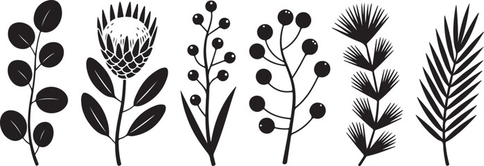 Silhouettes of various eucalyptus branches, protea flower, berry branches, and palm leaves in black on a grey background. © Kamrun82