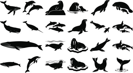 Marine Mammal Silhouette Collection Featuring Whales Dolphins Seals Walruses Orcas and Ocean Wildlife Animals © Liton