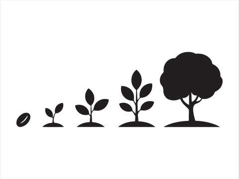 Growth stages of a tree from seed to maturity silhouette collection vector isolated illustration