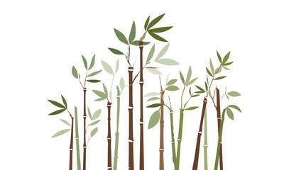 Naklejka premium tropical bamboo stalks