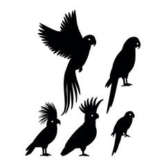 Fototapeta premium Isolated Tropical Bird Graphic Elements on White Background, Cockatoo and Macaw Silhouette Set.eps 