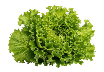 Obraz premium Fresh green leafy vegetable close-up with vibrant leaves isolated on transparent background