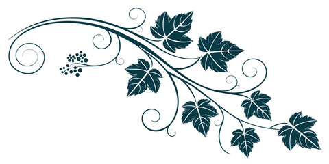 Elegant dark teal vine illustration with stylized leaves small berry bunches decorative curly tendrils for ornamental graphic design use decorative ornament illustration © Mamun