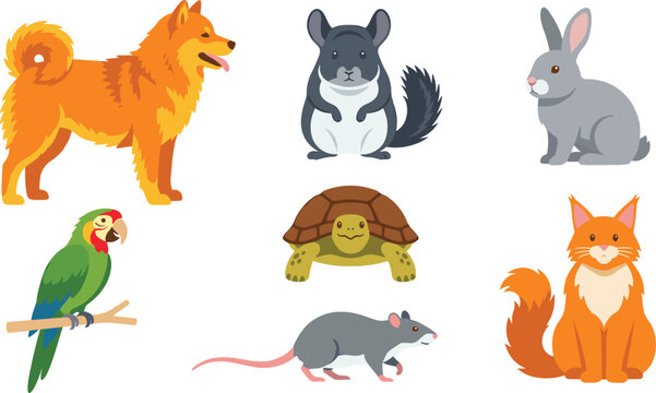 Cute domestic pets and small animals vector set featuring furry dog cat rabbit chinchilla parrot turtle and rat isolated on white background