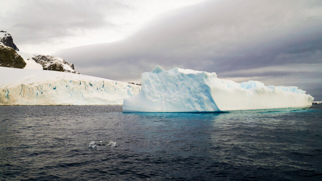 Antarctica Iceberg landscapes in Cuverville Island and Foyn Harbour 
