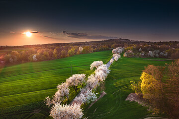 Opole- Góra św. Anny - Opole  © Radosław Dybała