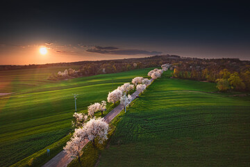 Opole- Góra św. Anny - Opole  © Radosław Dybała