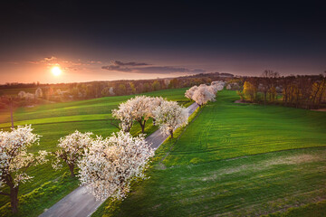Opole- Góra św. Anny - Opole © Radosław Dybała
