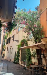 Obraz premium Historic City of Verona, Italy - lifestyle