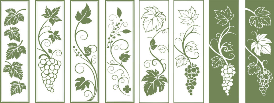 Grapevine illustrations with leaves and bunches