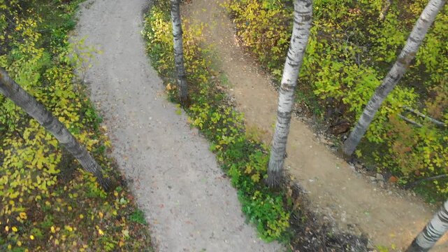 Drone flying low and looking down on a narrow gravel walking trail that winds through an aspen forest
