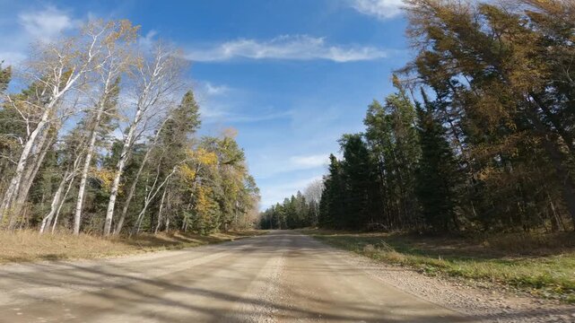 POV from the front of a vehicle driving along a gravel road through an autumn northern forest. The blue sky has wispy white clouds
