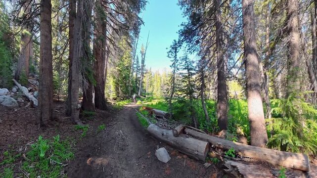 Following Man to Small Lake in Yosemite National Park