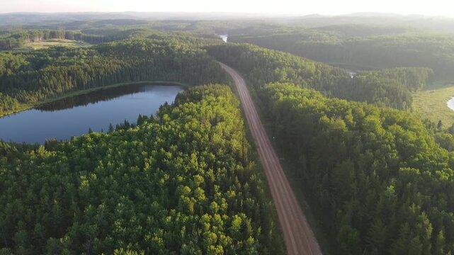 Drone looking down on a winding road through a northern park forest that is lit by a morning yellow sky.
