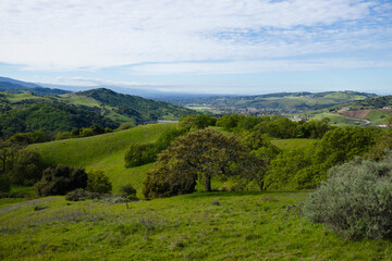 Obraz premium Lush green rolling hills and oak woodland under dramatic clouds in California, scenic spring landscape near San Jose, Bay Area, peaceful nature panorama with layered mountains
