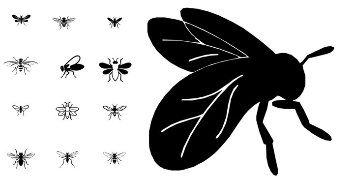 Firefly Lightning Bug Insect Icon Minimal Black Flat Vector Modern UI Design