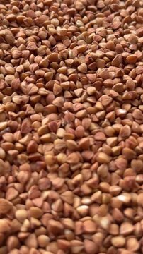 Top Down Aerial View of Buckwheat Seeds in Motion Blur Style