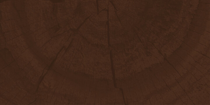 Natural Brown Wood Grain Texture with Growth Rings and Organic Patterns